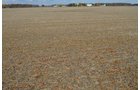 Property photo 25 - 75.3 Acres Offered in 2 Tracts